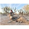 Image 4 : 6-day Mexico Desert Mule Deer Hunt for One hunter and One Non-hunter