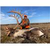 Image 1 : 6-day Manitoba Barren-ground Caribou Hunt for One Hunter