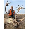 Image 2 : 6-day Manitoba Barren-ground Caribou Hunt for One Hunter