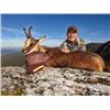 Image 1 : 10-day Spain Cantabrian Chamois (SCI Gold Medal), Iberian Mouflon, and Iberian Red Deer Hunt for Two