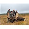 Image 2 : 5-day Newfoundland Eastern Canada Moose Hunt for One Hunter