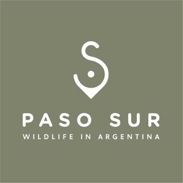 6-day Argentina Dove and Pigeon Hunt for Three Hunters and Non-hunters