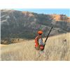 Image 2 : 2-day/3-night Idaho Pheasant, Chukar and Partridge Late Season Hunt for Three Hunters