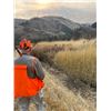 Image 3 : 2-day/3-night Idaho Pheasant, Chukar and Partridge Late Season Hunt for Three Hunters
