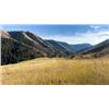Image 4 : 2-day/3-night Idaho Pheasant, Chukar and Partridge Late Season Hunt for Three Hunters