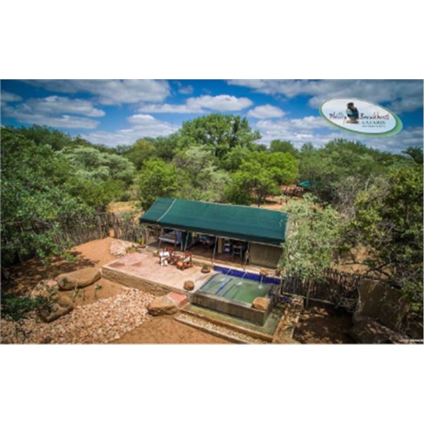 7-day South Africa Red Hartebeest, Blue Wildebeest, Black Wildebeest and Gemsbuck (choice of 2-per h