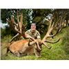 Image 1 : 5-day New Zealand Trophy Red Stag and Arapawa Ram Hunt for One Hunter and One Non Hunter