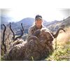 Image 2 : 5-day New Zealand Trophy Red Stag and Arapawa Ram Hunt for One Hunter and One Non Hunter