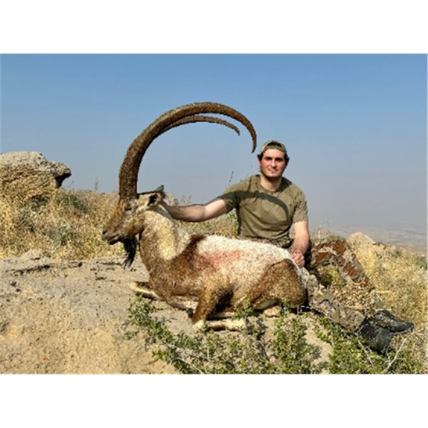 6-day Pakistan Sindh Ibex Hunt for One Hunter