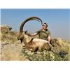 Image 1 : 6-day Pakistan Sindh Ibex Hunt for One Hunter