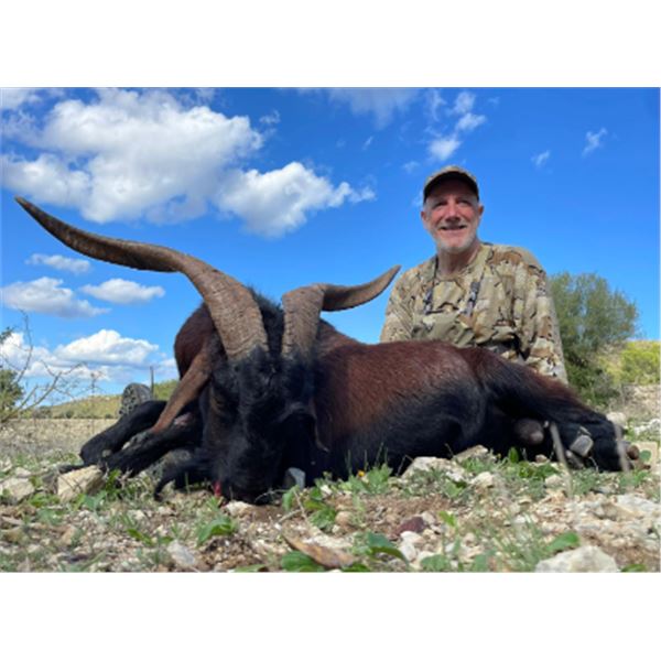 5-day Spain Balerarian Goat and Roe Deer Hunt plus Bull Fight Experience for Two Hunters and Two Non