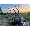Image 1 : 5-day Idaho Elk Up to 360 SCI Hunt for One Hunter and One Non-Hunter with Former NFL All-Pro Rulon J