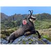 Image 3 : 12-day New Zealand Red Stag, Bull Tahr, and Alpine Chamois (to be shared) Hunt Plus Waterfowl Hunt f