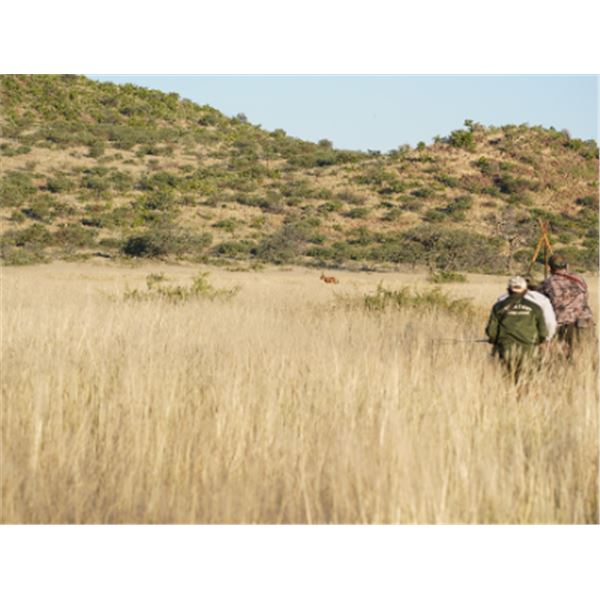 10-day Namibia Plains Game Hunt for Two Hunters