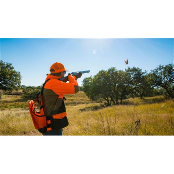 2-day Texas Upland & Driven Wingshooting Package for Four Hunters