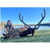 Image 1 : 4-day/3-night Texas Trophy Axis and Jacob's Sheep Hunt for One Hunter and One Guest