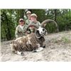 Image 2 : 4-day/3-night Texas Trophy Axis and Jacob's Sheep Hunt for One Hunter and One Guest