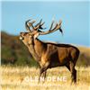 Image 1 : 5-day New Zealand Gold-Medal Red Stag and Chamois Hunt for Two Hunters