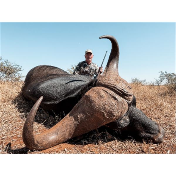 7-day South Africa Cape Buffalo Hunt for One Hunter and One Non-hunter