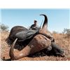 Image 1 : 7-day South Africa Cape Buffalo Hunt for One Hunter and One Non-hunter