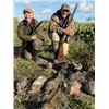 Image 3 : 5-day Denmark Wingshooting and Sightseeing for One Hunter and One Non-Hunter