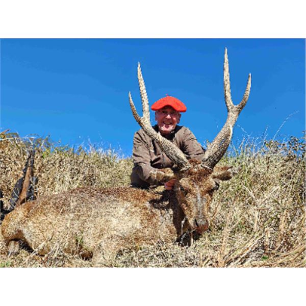 5-day Australia Moluccan Rusa Deer hunt for one hunter and one non-hunter