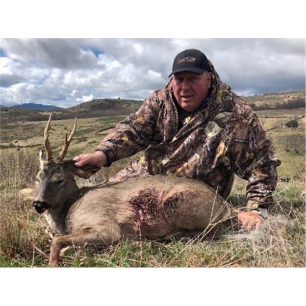 5-day/4-night Spain Roe Deer Hunt and Sightseeing for Two Hunters and Two Non-Hunters