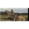 Image 1 : 3-day Indiana Whitetail Deer up to 200 SCI hunt for One Hunter and One Non-hunter