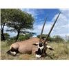 Image 2 : 8-day South Africa Pains Game Hunt for Two Hunters