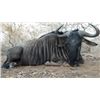 Image 3 : 8-day South Africa Pains Game Hunt for Two Hunters