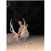 Image 1 : 2-day Texas Red Stag and Boar Hunt for One Hunter and One Non-Hunter