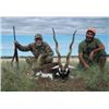 Image 2 : 5-day/6-night Argentina Blackbuck Hunt for Four Hunters and Four Non-Hunters