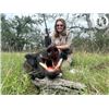 Image 2 : 2-day Texas Wild Boar Hunt for Four Hunters
