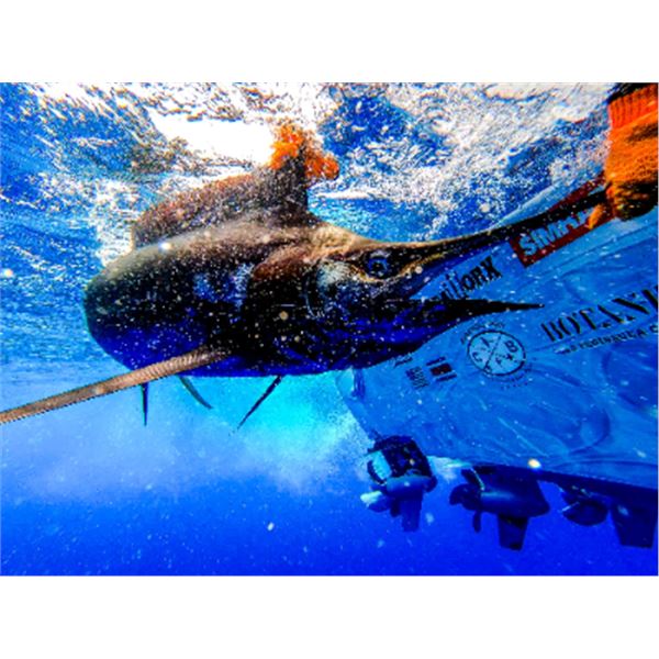 5-night Costa Rica Adventure, Including 3-days of Fishing for Two