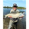 Image 2 : 4-night Alaska Salmon Excursion for Two Anglers