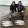Image 3 : 4-night Alaska Salmon Excursion for Two Anglers