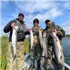 Image 4 : 4-night Alaska Salmon Excursion for Two Anglers