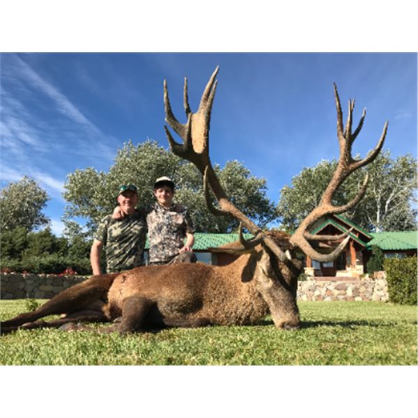5-day Argentina Gold Medal Red Stag and Fallow Deer up to 240 inches for Two Hunters