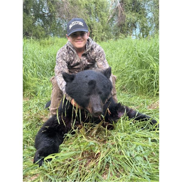 7-day Alaska Black Bear Hunt for One Hunter