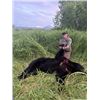 Image 2 : 7-day Alaska Black Bear Hunt for One Hunter