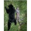 Image 3 : 7-day Alaska Black Bear Hunt for One Hunter