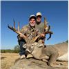 Image 1 : 3-day Texas Silver Medal Whitetail Deer Hunt for One Hunter and One Non-hunter
