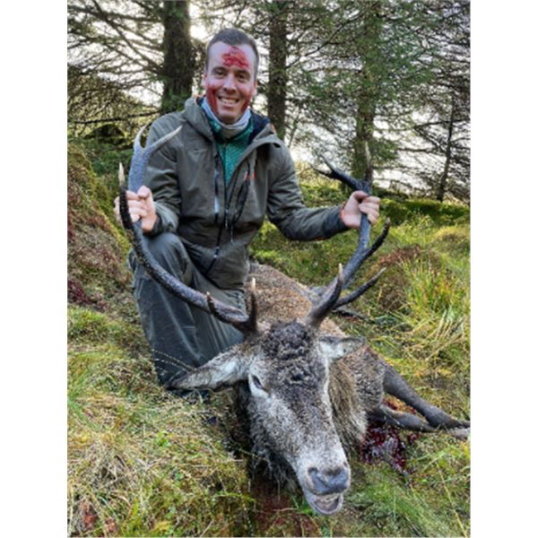 5-Day/4-night Scotland Red Deer, Roe Deer and Sika Deer Hunt for One Hunter and One Non-Hunter