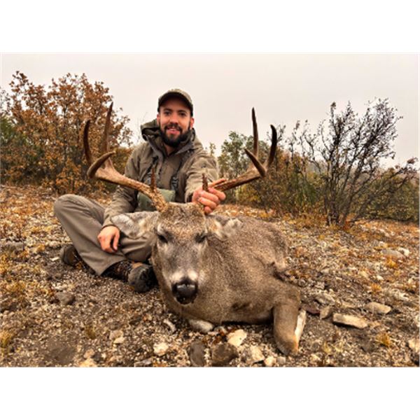 4-day Mexico Carmen Mountain White-tailed Deer for One Hunter