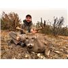 Image 1 : 4-day Mexico Carmen Mountain White-tailed Deer for One Hunter
