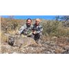Image 2 : 4-day Mexico Carmen Mountain White-tailed Deer for One Hunter