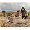 Image 4 : 4-day Mexico Carmen Mountain White-tailed Deer for One Hunter