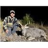 Image 5 : 4-day Mexico Carmen Mountain White-tailed Deer for One Hunter
