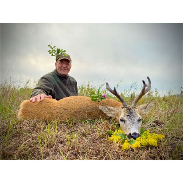 5-day Hungary Roe Deer Hunt for Three Hunters and Three Non-hunters