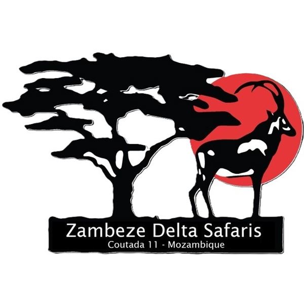 7-day Mozambique Plains Game Hunt and Taxidermy Service for One Hunter and One Non-Hunter